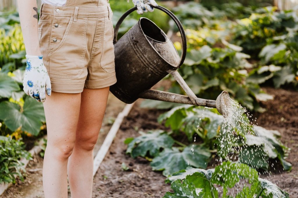 Watering the Garden