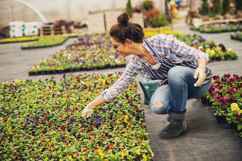 A woman is watering the flowers, wearing her sturdy boots