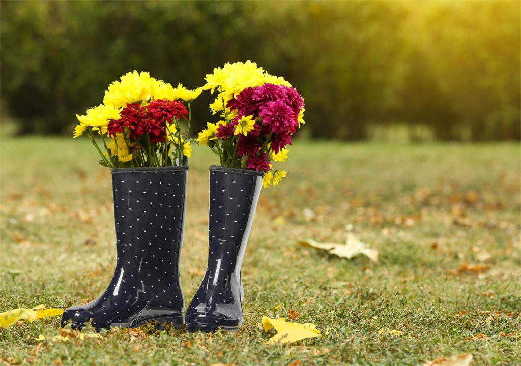Under warm sunshine, beautiful flowers are in the boots, enhancing its beauty